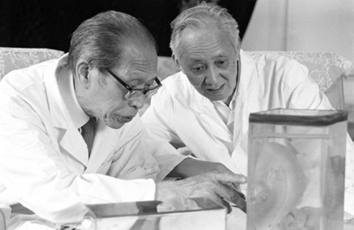 中国器官移植开创者最后的&ldquo;移植&rdquo; 