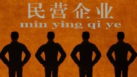 陈雨露：“三箭齐发”破解民企融资难题 