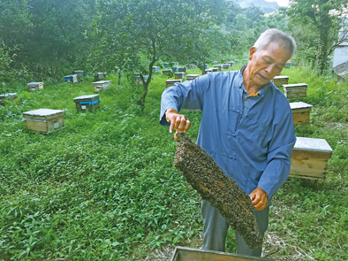 65岁&ldquo;学艺&rdquo;,贫困户年近古稀实现人生逆袭 