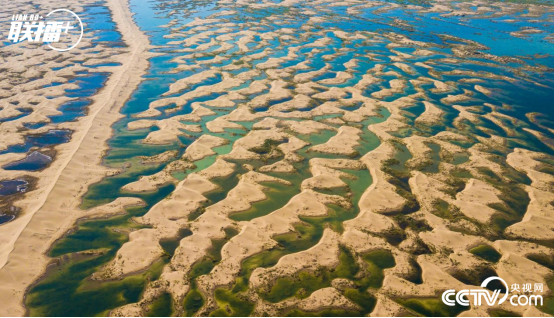 联播+丨两封贺信背后的绿色故事