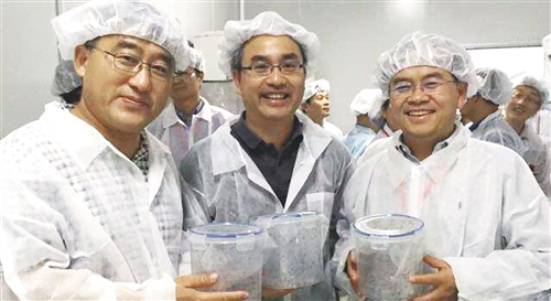 独辟蹊径效果明显 我国科学家发现强力灭蚊新工具