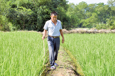 盲人种粮模范&ldquo;点亮&rdquo;的脱贫路