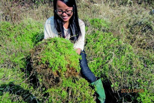 &ldquo;水苔姑娘&rdquo;甘当富民&ldquo;草民&rdquo;