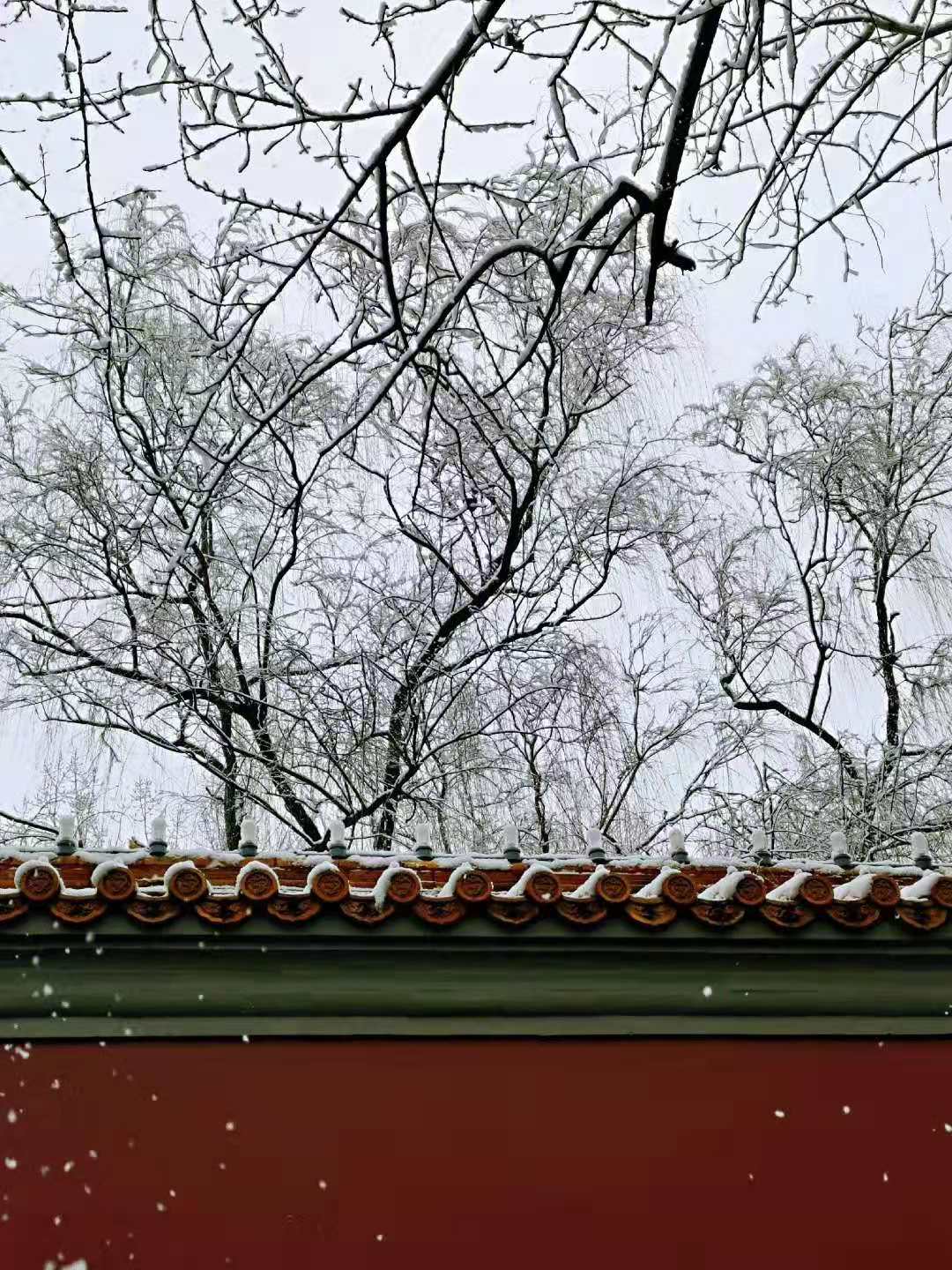 国家品牌网 恰逢小寒节气全国大范围普迎降雪 瑞雪兆丰年