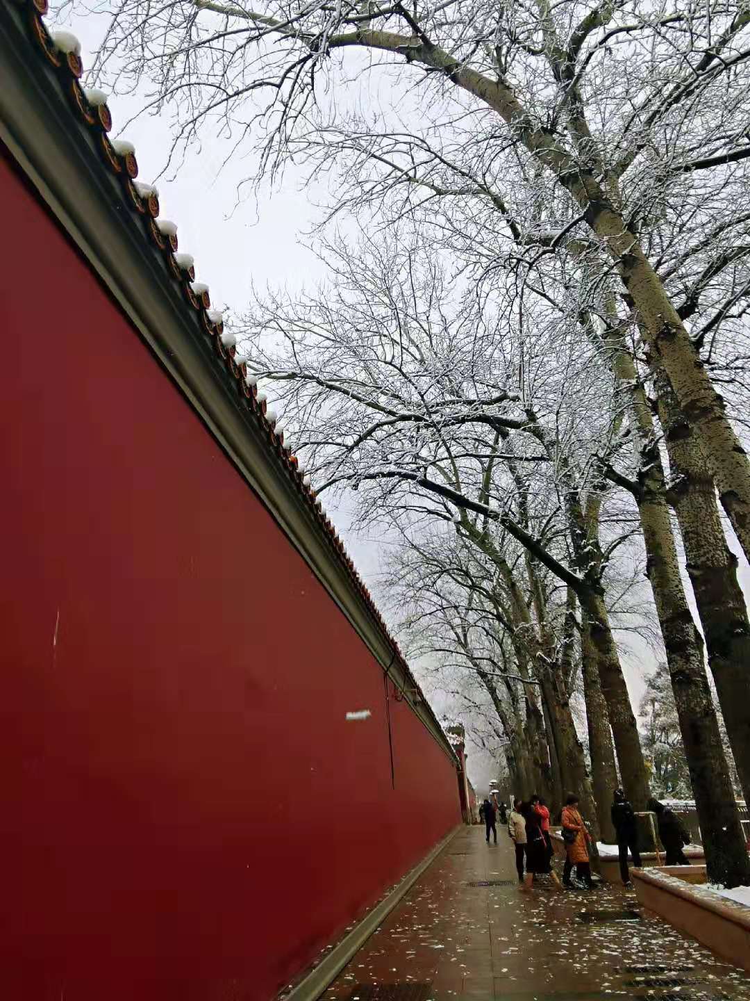 国家品牌网 恰逢小寒节气全国大范围普迎降雪 瑞雪兆丰年