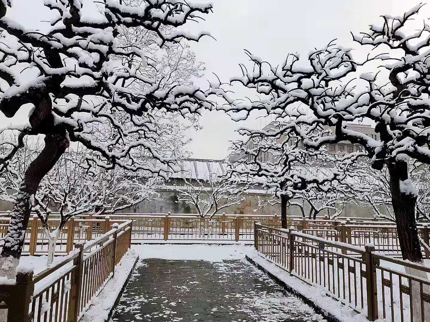 北京迎2020首场降雪国家品牌网 恰逢小寒节气全国大范围普迎降雪 瑞雪兆丰年