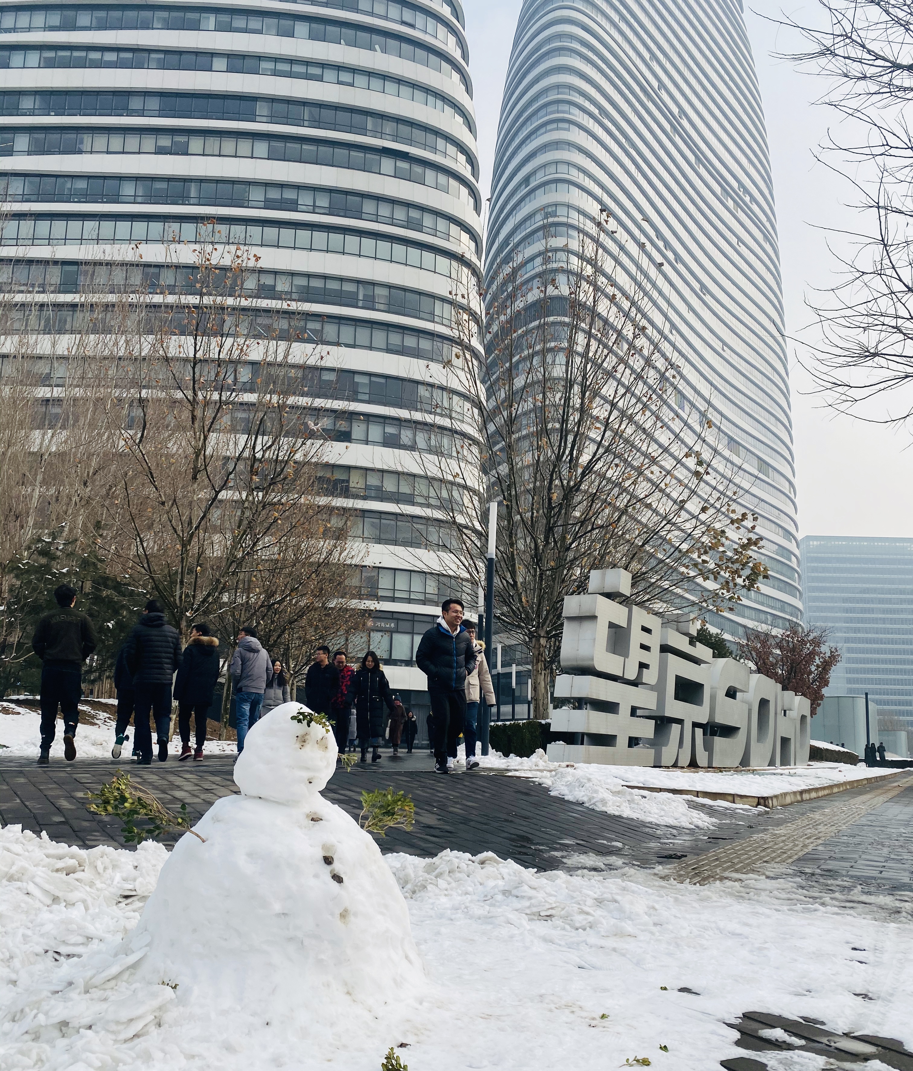 北京迎2020首场降雪 国家品牌网 恰逢小寒节气全国大范围普迎降雪 瑞雪兆丰年