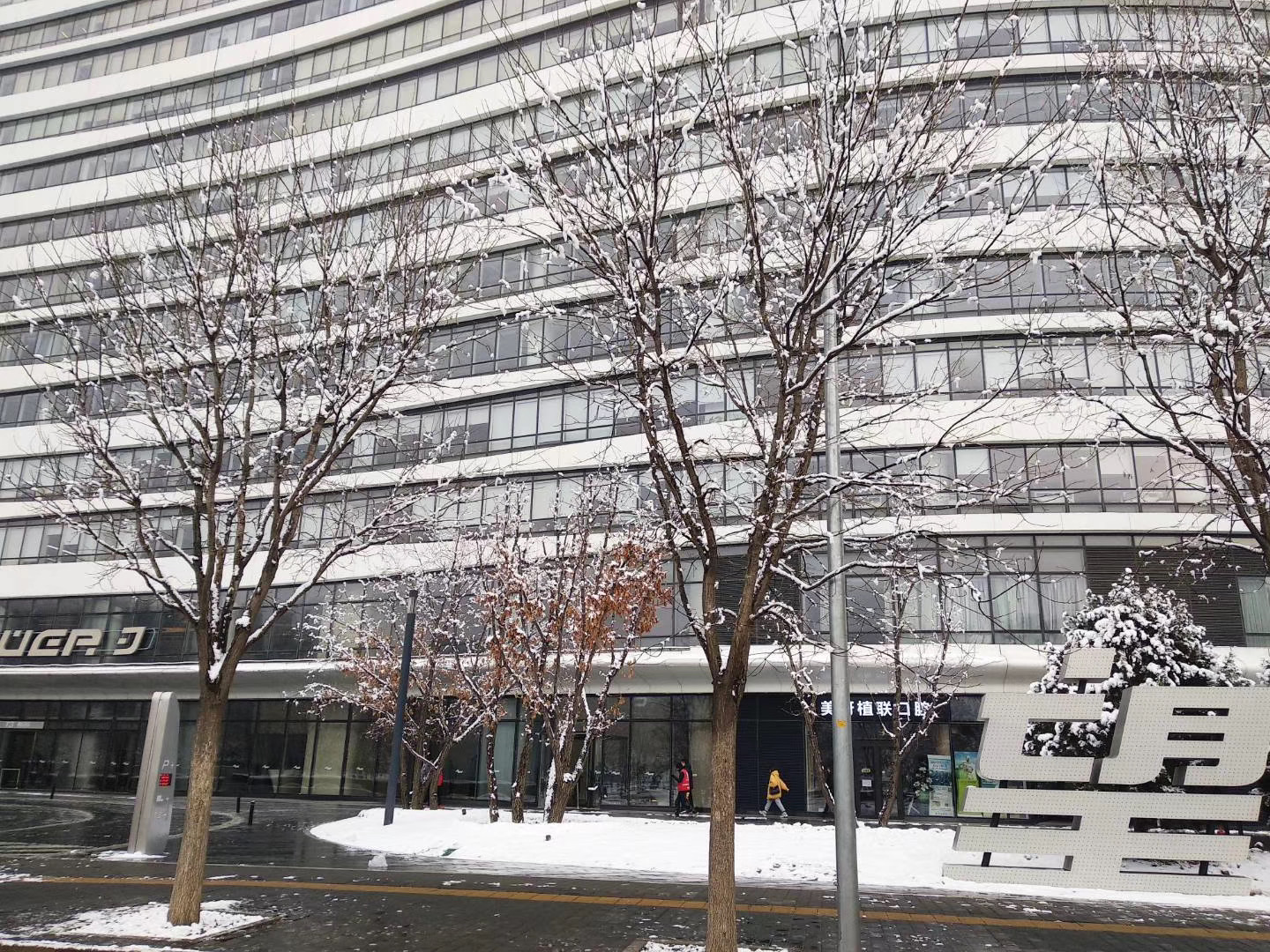 北京迎2020首场降雪 国家品牌网 恰逢小寒节气全国大范围普迎降雪 瑞雪兆丰年