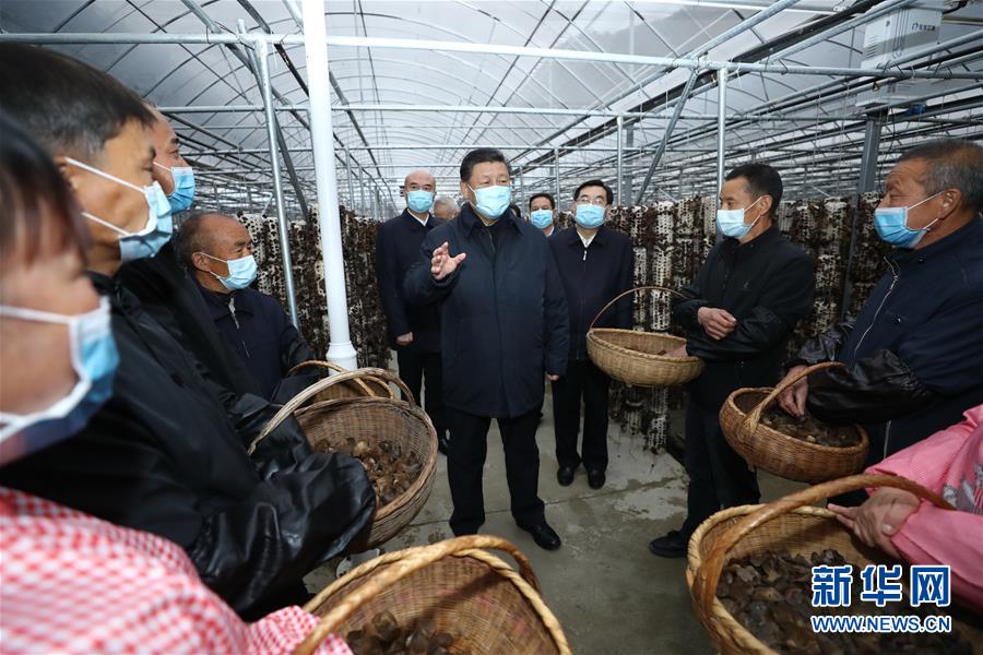 习近平在陕西考察 国家品牌网