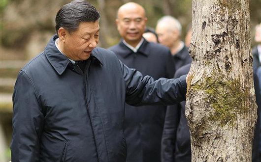 习近平在陕西考察秦岭生态保护情况