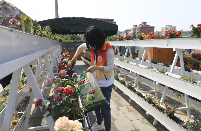 北京版“你是什么垃圾”五一来袭 这20个必考点请背熟 国家品牌网