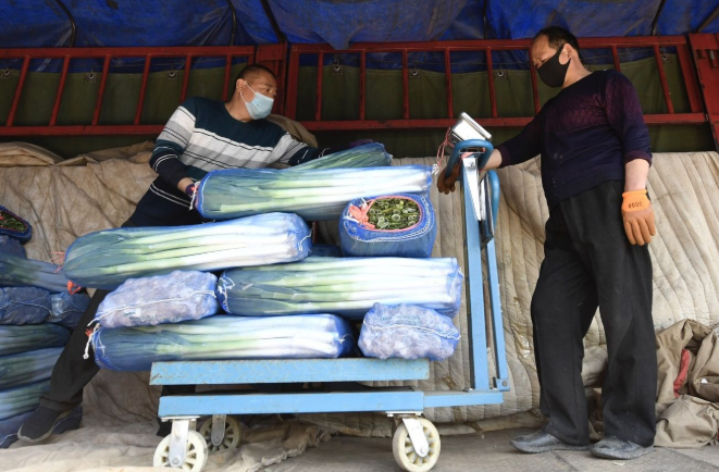 北京版“你是什么垃圾”五一来袭 这20个必考点请背熟 国家品牌网