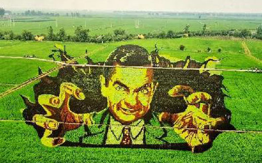 &ldquo;大农匠&rdquo;，天马行空成就&ldquo;稻梦空间&rdquo;