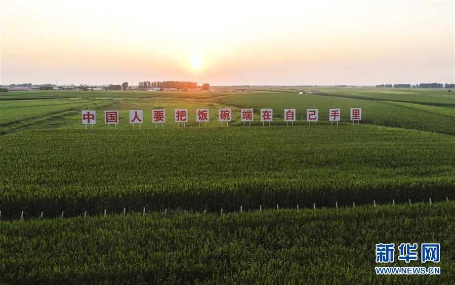 让百姓吃得饱还要吃得好   国家品牌网