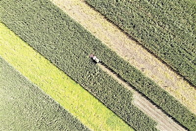 科技&ldquo;装满&rdquo;粮仓 用最好的技术种出最好的粮食
