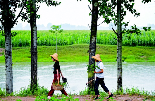 &ldquo;河南版李子柒&rdquo;：一对父女的&ldquo;边城&rdquo;故事 