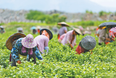 &ldquo;地标产品&rdquo;有了新保护