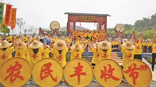 电商巨头纷纷入场丰收节 