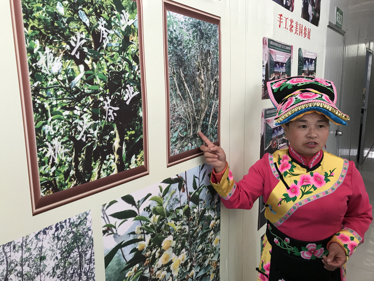 北川县致富带头人吴红：留住手艺 铺就村民致富路