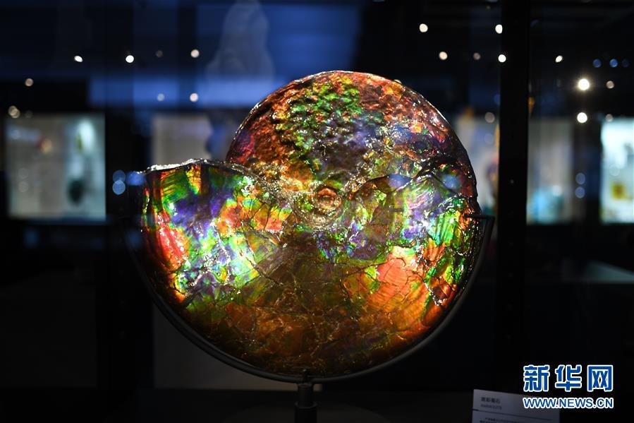 进博会观展体验：多彩&middot;绚烂&middot;未来感