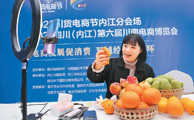 &ldquo;百亿补贴&rdquo;啥来头？