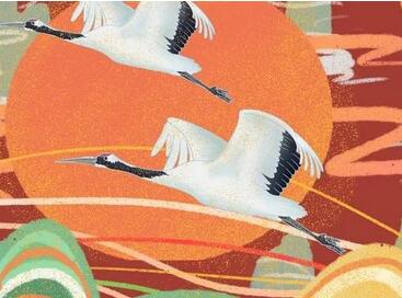 国货为何钟情联名款？