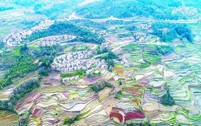 保护世界遗产 打造滇云文化名片  国家品牌网
