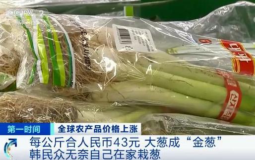 国际粮价暴涨,会影响中国人的“饭碗”吗? 国家品牌网