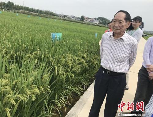 国际粮价暴涨,会影响中国人的“饭碗”吗? 国家品牌网