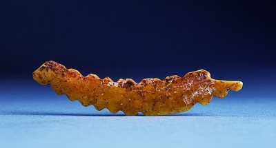 2020年六大考古新发现带来新的历史认知 