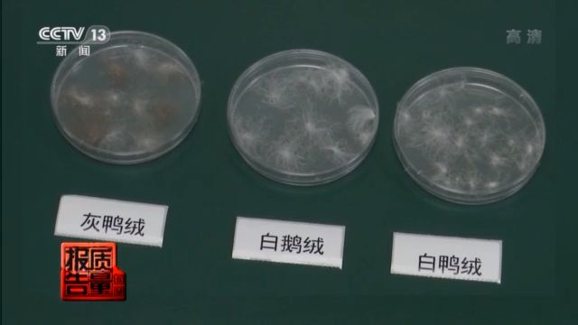 吊牌写含96%羊毛实际一根羊毛都没有？ 国家品牌网