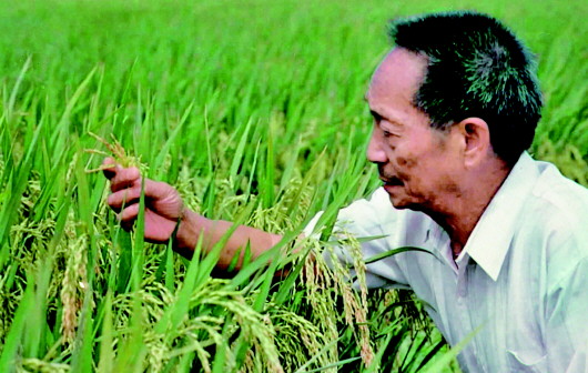 袁隆平心底的五个人生“头条” 