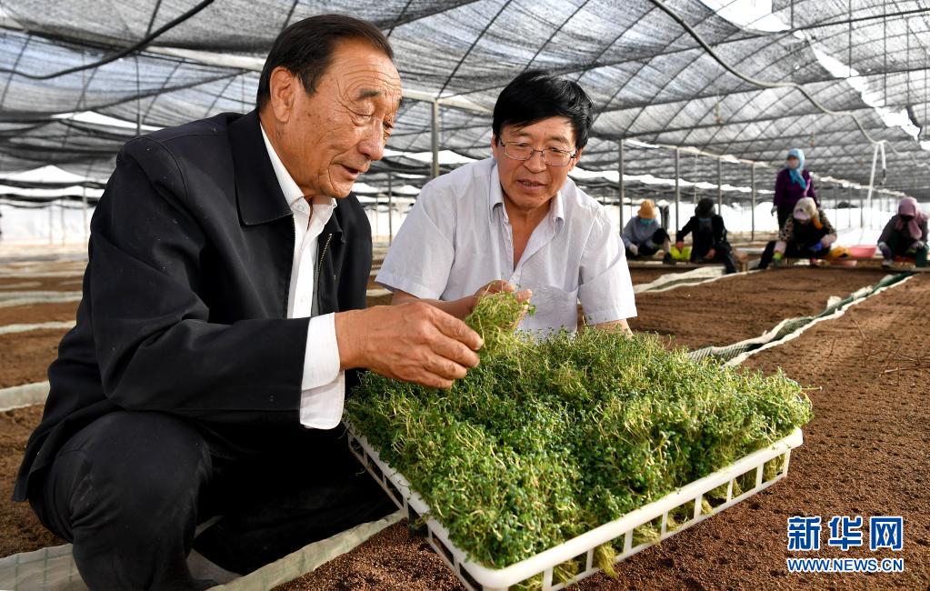 治沙英雄石光银:干成治沙一件事,就算没白活 国家品牌网