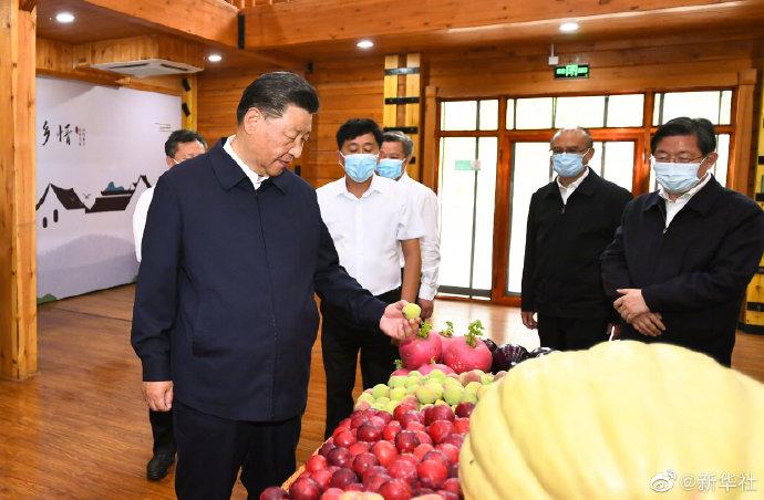 习近平在承德市考察调研  国家品牌网