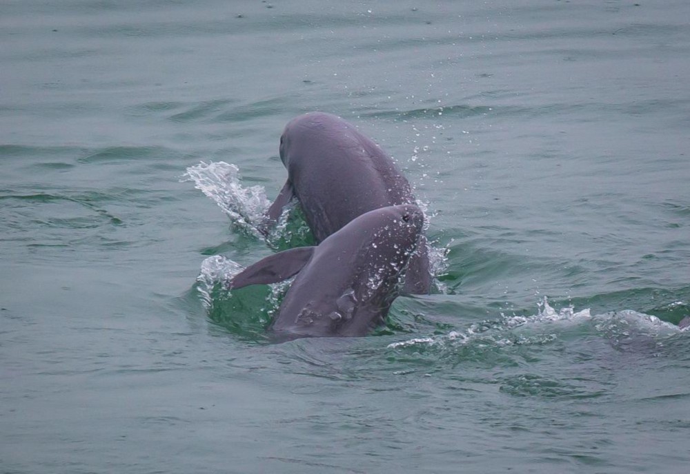 习近平生态文明思想造福中国光耀世界  国家品牌网