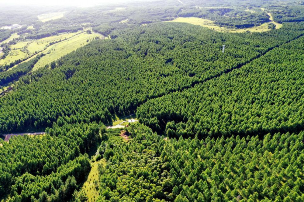 习近平生态文明思想造福中国光耀世界  国家品牌网