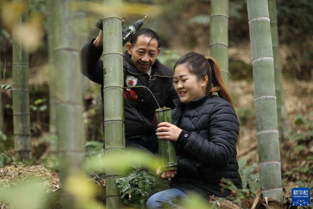 90后苗族女青年 竹酒“种”出致富路 
