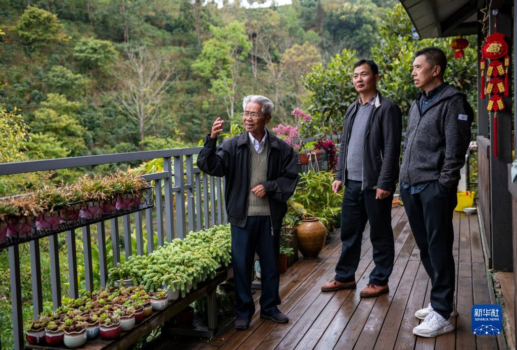 春来远山“魔豆”香——一杯咖啡里的山乡巨变 国家品牌网