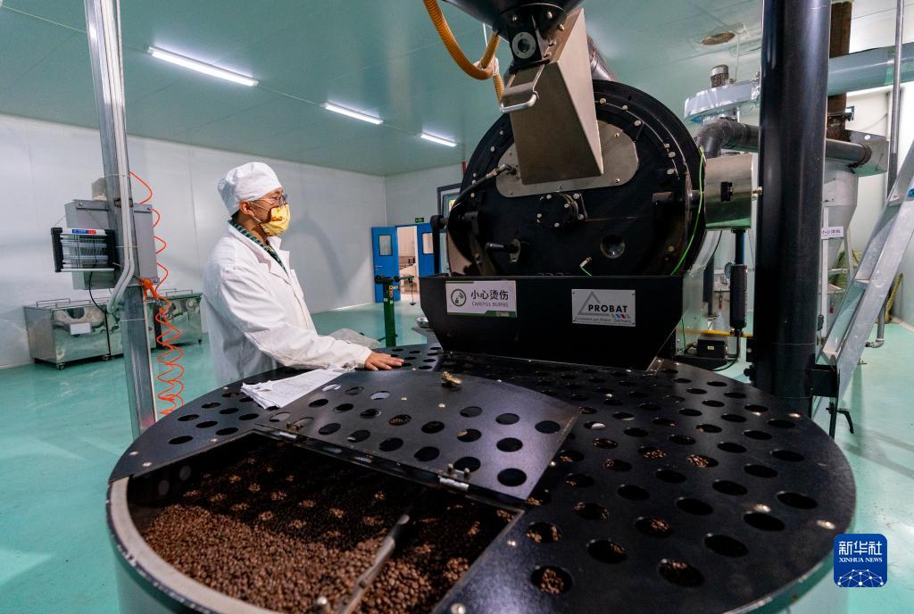 春来远山“魔豆”香——一杯咖啡里的山乡巨变 国家品牌网