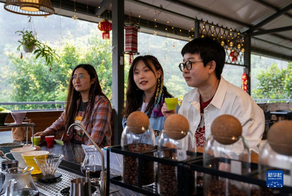 春来远山“魔豆”香——一杯咖啡里的山乡巨变 国家品牌网