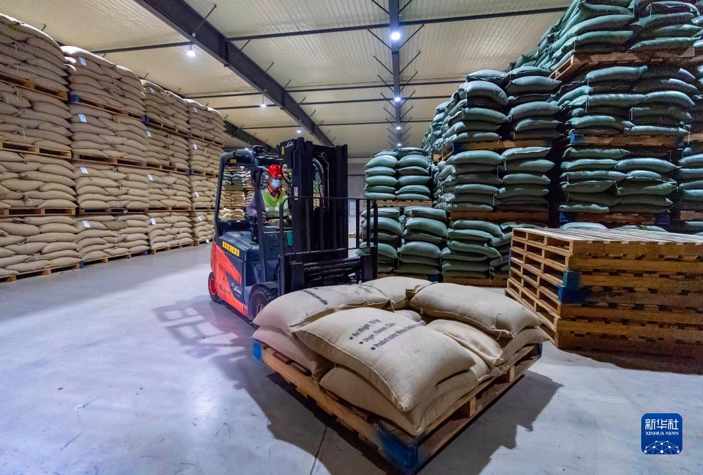 春来远山“魔豆”香——一杯咖啡里的山乡巨变 国家品牌网