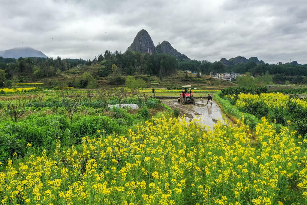 新华全媒+丨耕耘在春天--来自当前农业生产一线的故事