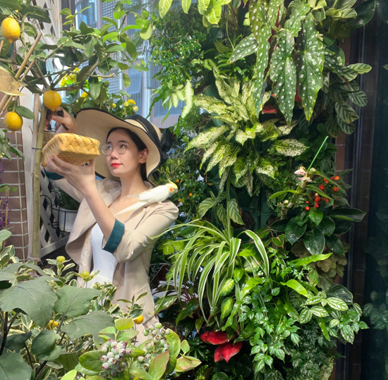 菜市场都逛得少的年轻人,为什么热衷阳台种菜 国家品牌网