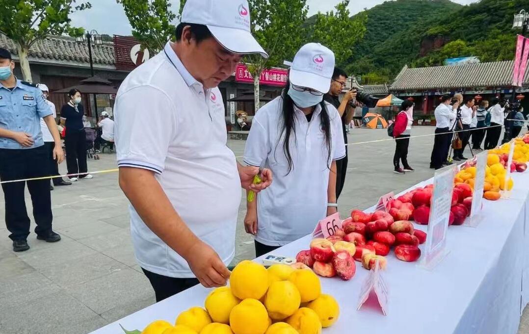 中国大桃刘家店 丫髻山下蟠桃会  国家品牌网
