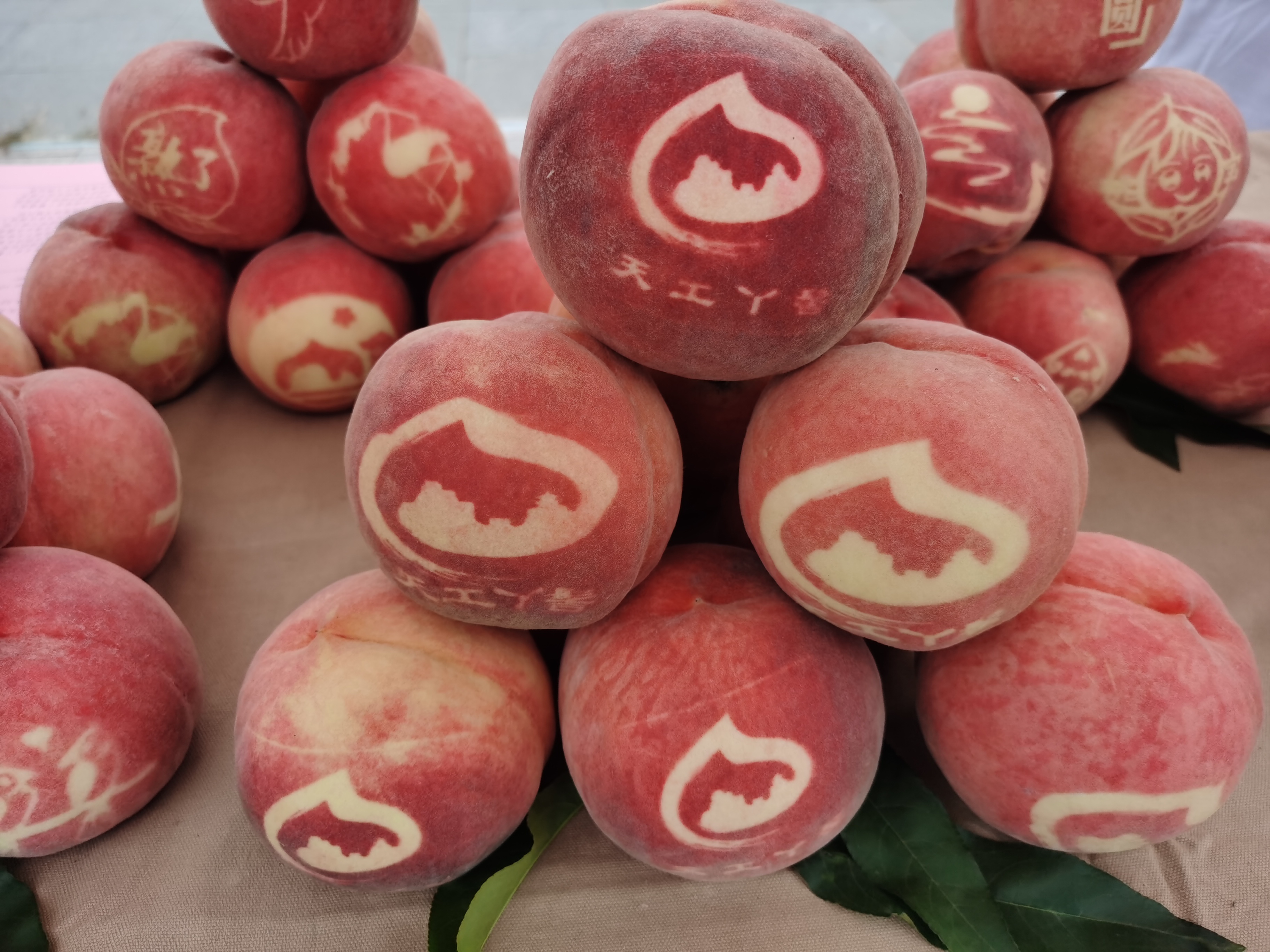 中国大桃刘家店 丫髻山下蟠桃会  国家品牌网