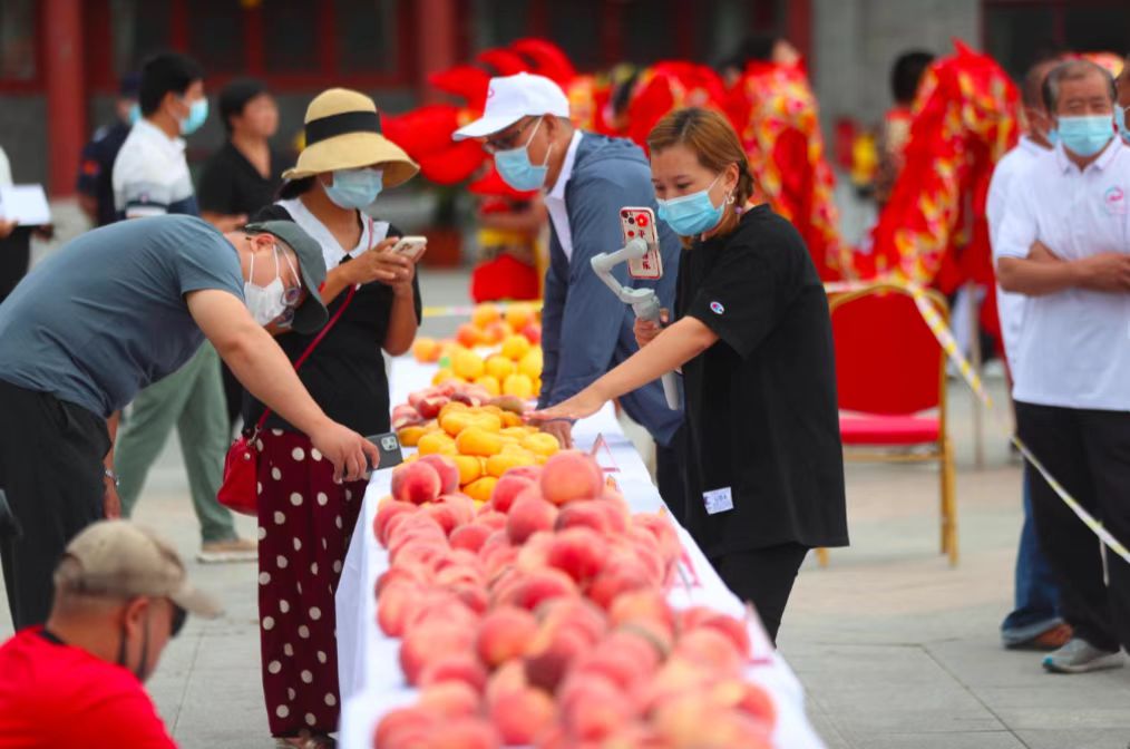 中国大桃刘家店 丫髻山下蟠桃会  国家品牌网
