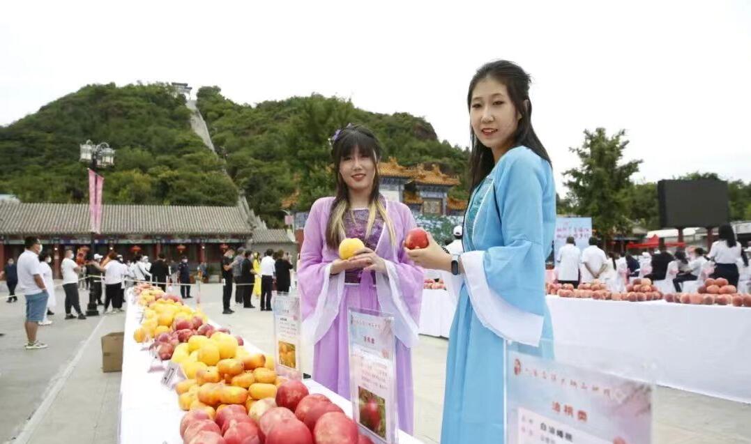 中国大桃刘家店 丫髻山下蟠桃会  国家品牌网