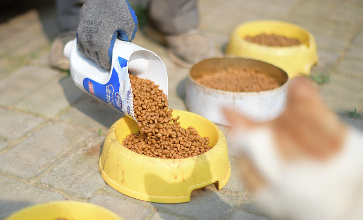 宠物食品为何频频&ldquo;翻车&rdquo;？