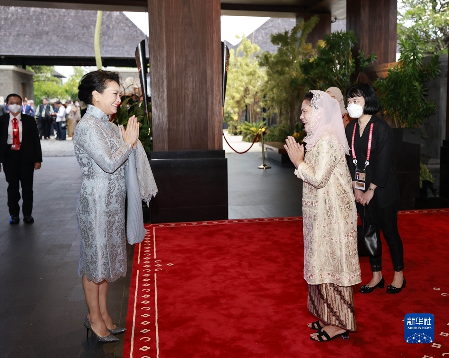 彭丽媛会见印度尼西亚总统夫人伊莉亚娜 国家品牌网