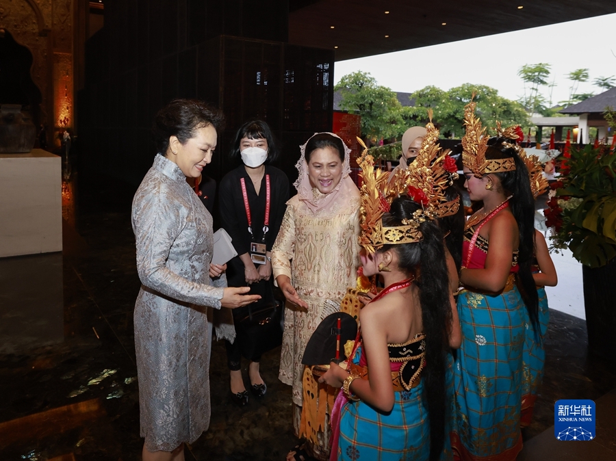 彭丽媛会见印度尼西亚总统夫人伊莉亚娜 国家品牌网
